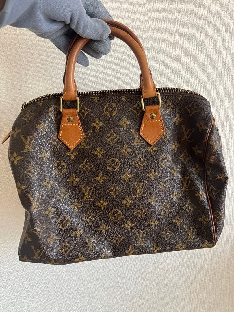 Louis Vuitton LV Monogram Handbag