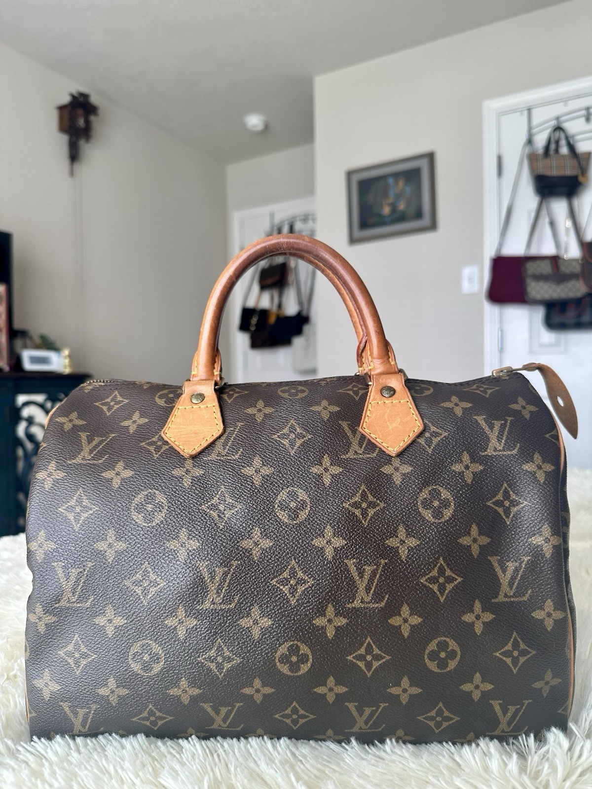 Louis Vuitton Monogram Speedy 30