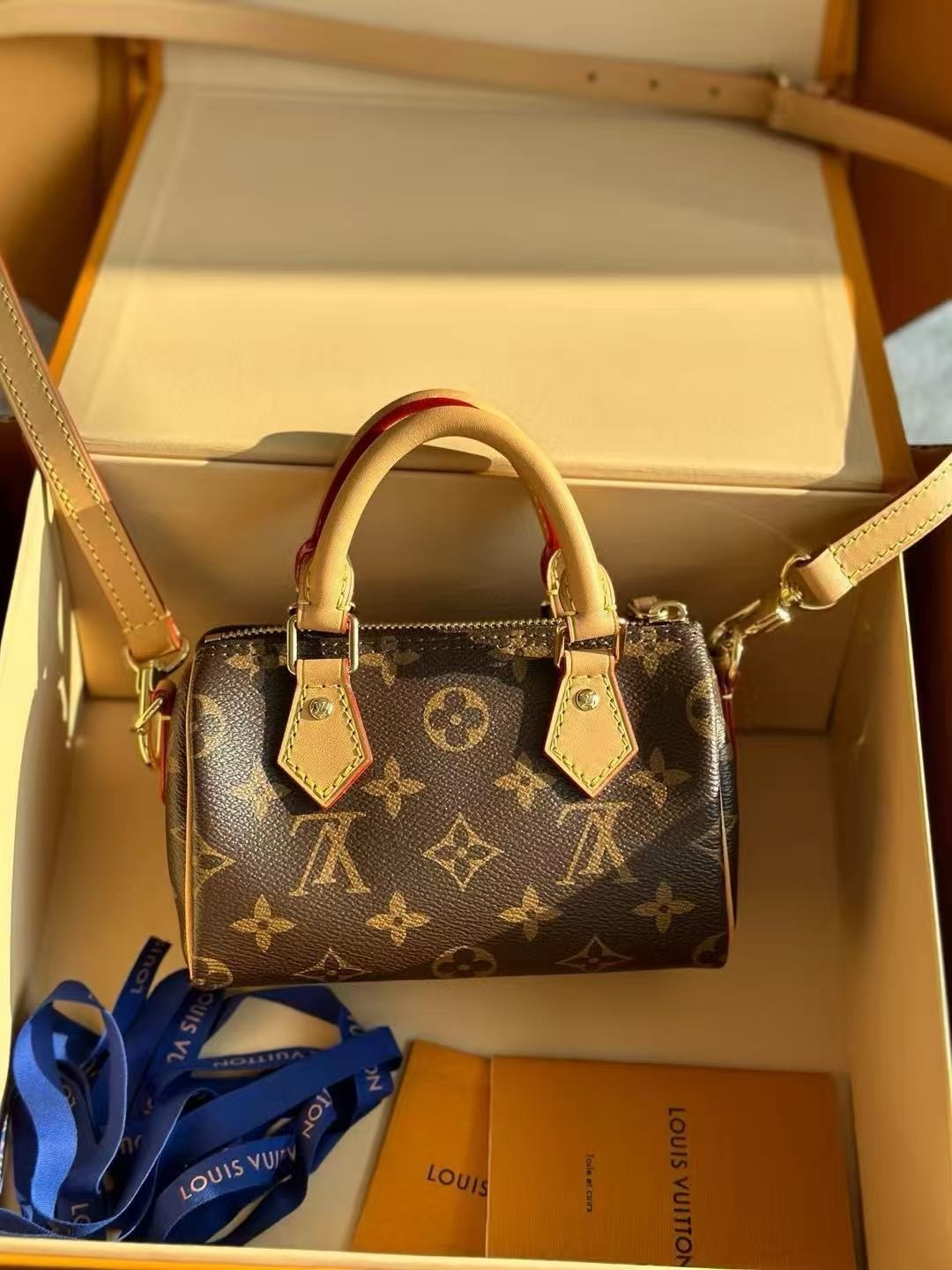 Authentic Louis Vuitton Nano Speedy Bag W/Accent Gold Hardware