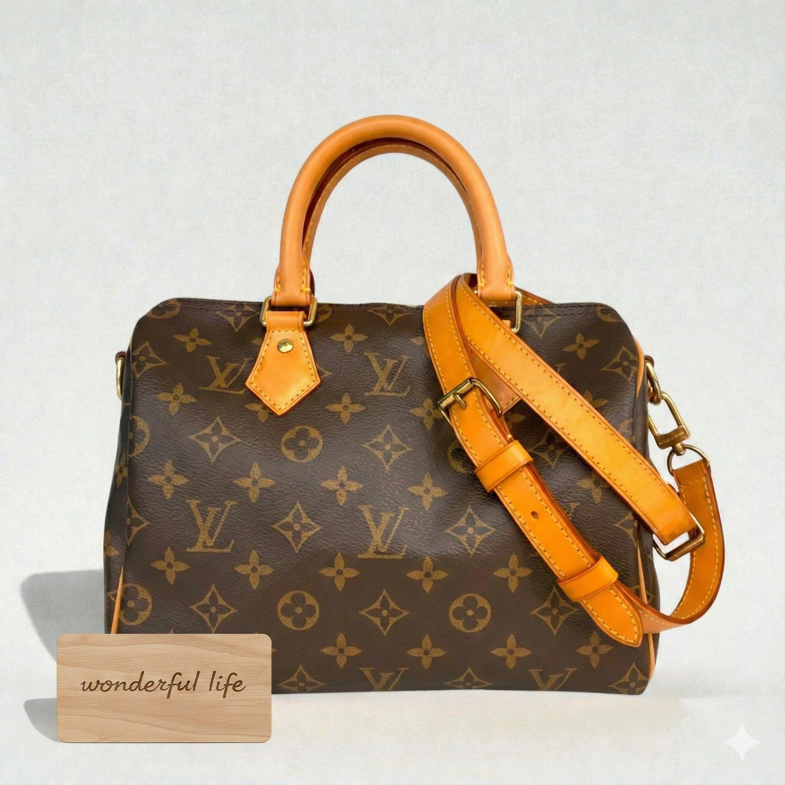 Louis Vuitton Monogram Speedy 25 Leather Fabric Brown Handbag M41113 MO00031